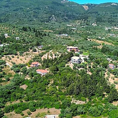 Polyxenis Ξενοδοχείο